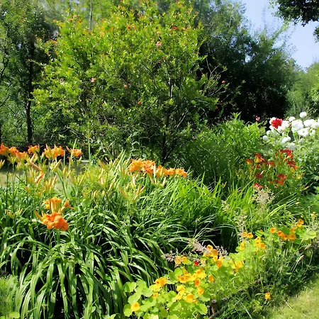 Ananda - Dépendance Kermessu Tatil Evi *