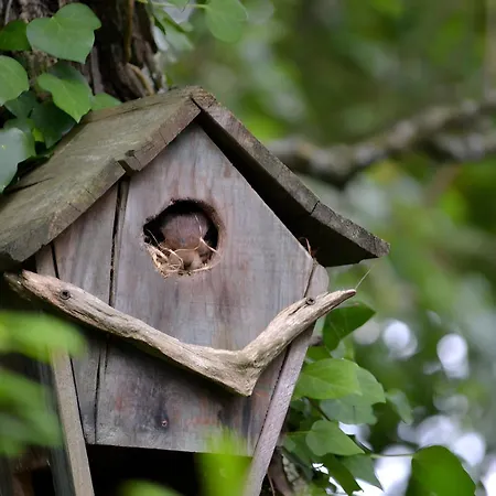 Ananda - Dependance Kermessu