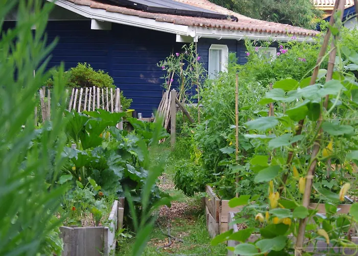 Ananda - Dependance Kermessu Holiday home *