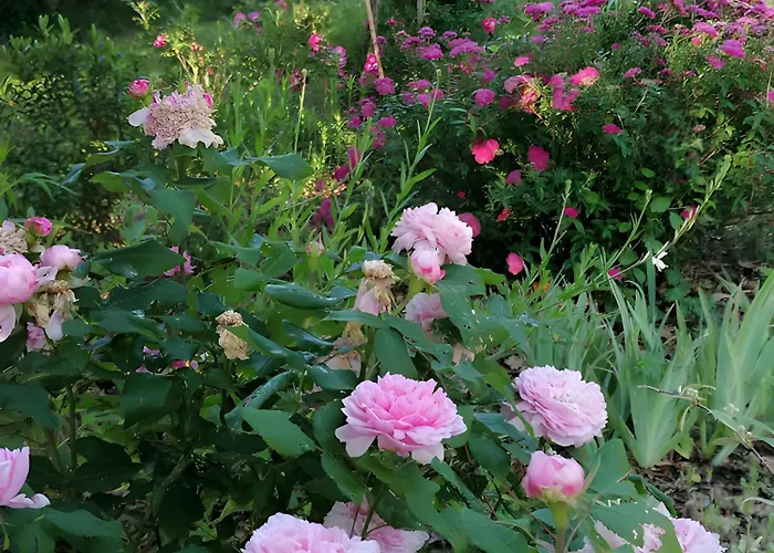 Feriehus Ananda - Dependance Kermessu Capbreton