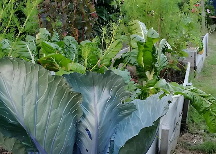 Ananda - Dependance Kermessu * Capbreton