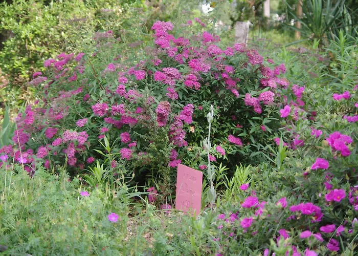 Ananda - Dependance Kermessu Feriehus