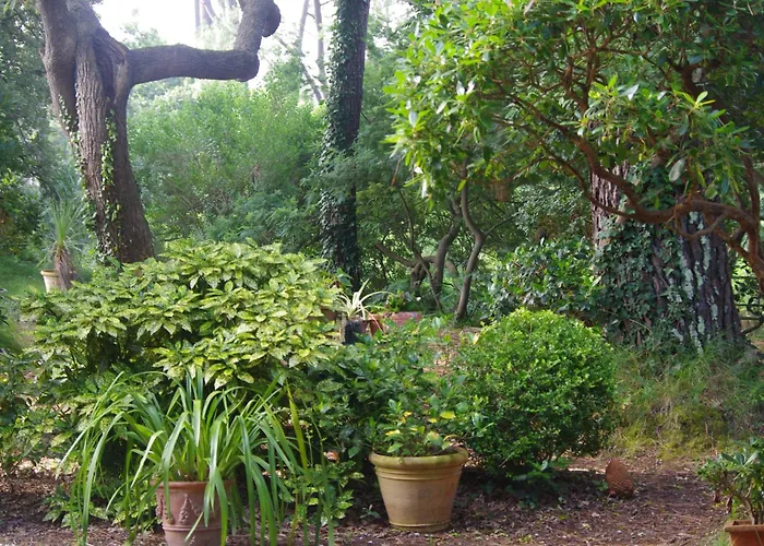 Ananda - Dependance Kermessu Holiday home Capbreton